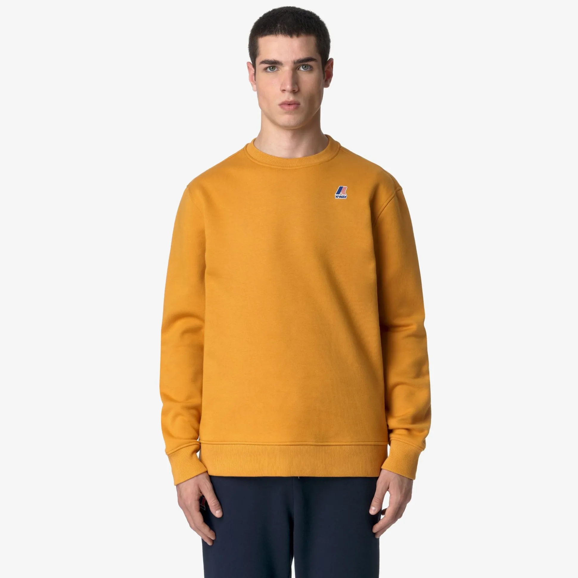 LE VRAI VILAINE HV POLY CO